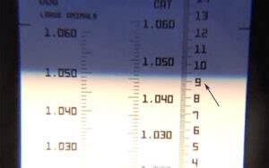 total protein refractometer dog|measuring total proteins with refractometer.